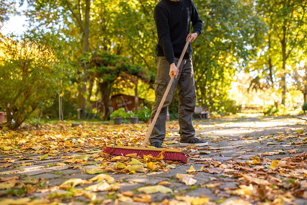 Schuh Objektservice Friedrichsdorf Gartenservice