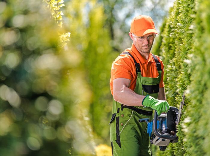 Schuh Objektservice Friedrichsdorf Gartenpflege