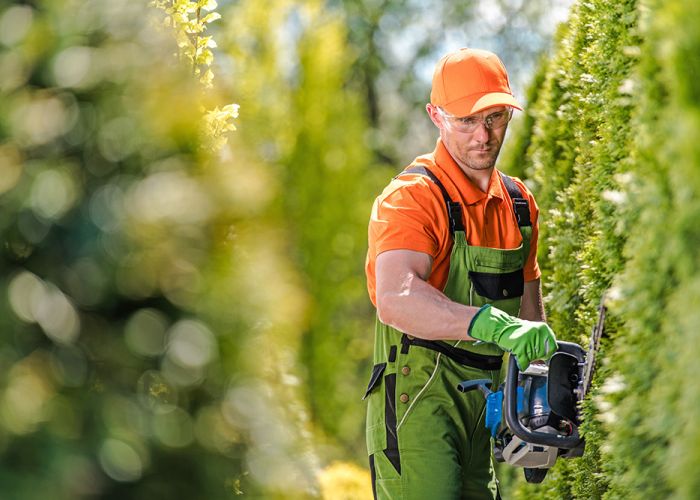 Schuh Objektservice Friedrichsdorf Gartenpflege