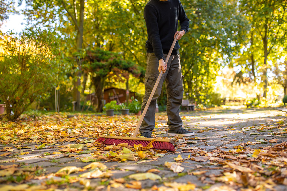 Schuh Objektservice Friedrichsdorf Gartenservice